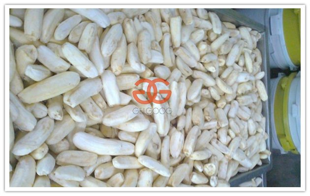 Green Plantain Banana Peeling Machine for Vietnam Customer